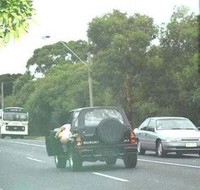 Fotos bizarras captadas por los radares