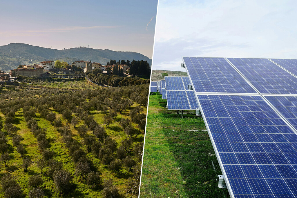 Hay una lucha por el espacio rural entre los paneles solares y los olivares. Unos investigadores creen tener la solución 