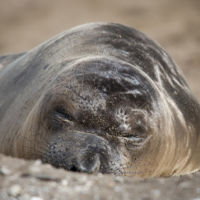 La 'magia' de ser el nuevo en el trabajo