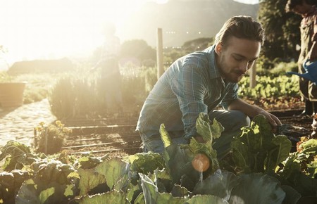 ¿Merece la pena pagar tanto por los alimentos ecológicos? Por éstos, en concreto, sí