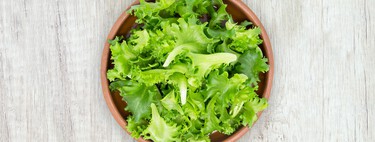 El truco para conservar la lechuga fresca y te dure hasta un mes en la nevera 