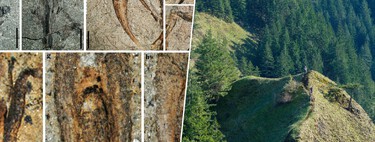 To the question about how trees are formed in the most inaccessible mountains, the answer is in a mine in China