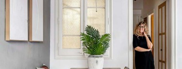 Cinco plantas de interior resistentes y todoterreno para dar el toque natural a nuestras casas, según una interiorista