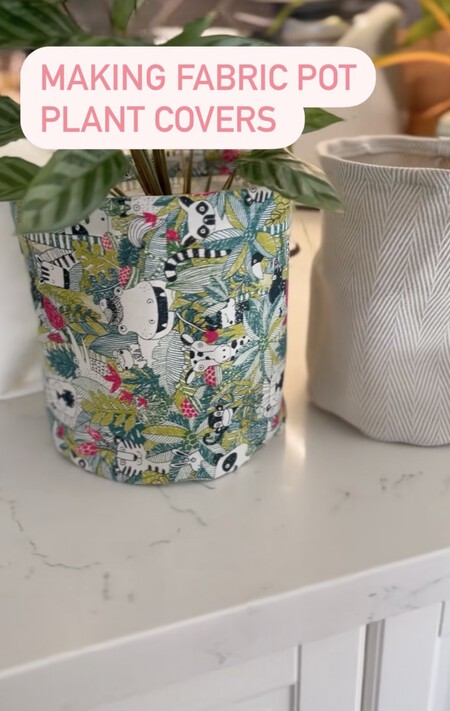 Imagen 12 1 26 A Las 16 27