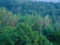 Empresas responsables medioambientalmente