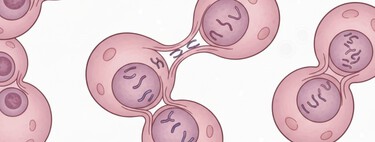 A ciência encontrou o “combustível” oculto do câncer: esta enzima é a verdadeira culpada por torná-lo imparável 