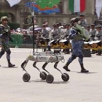 China perfeccionó a los "perros robot", Ucrania a los drones y ha tenido que llegar México para convertirlos en uno solo