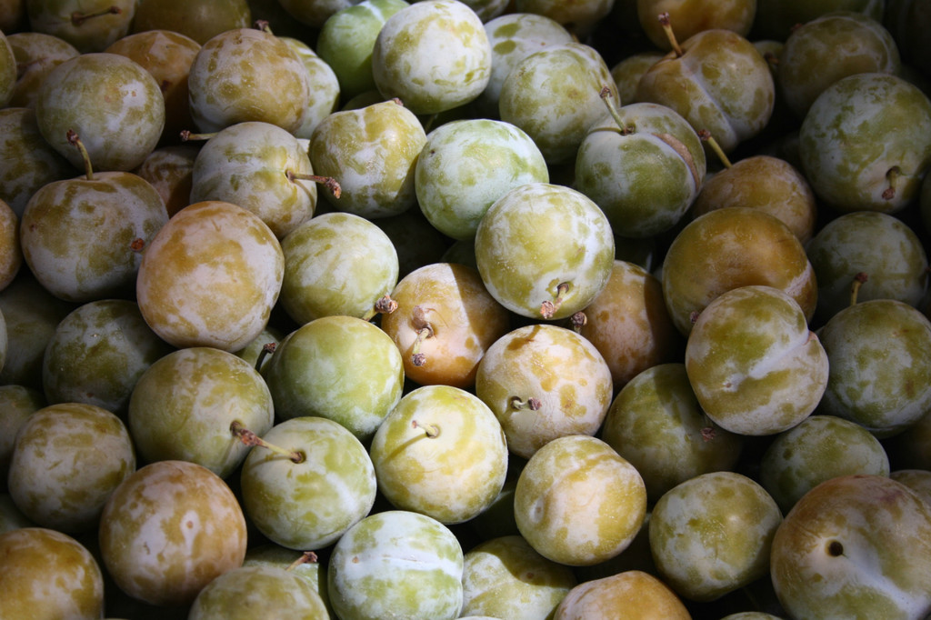 Cinco recetas para disfrutar de las últimas ciruelas claudias de temporada