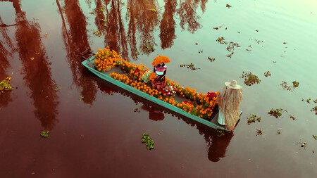 La Ruta del Cempasúchil 2026 llega a Xochimilco: paseo en trajinera, chinampas, leyendas y pan de muerto