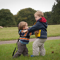 Peleas entre hermanos, ¿corto o les dejo?