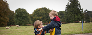 Peleas entre hermanos, ¿corto o les dejo?