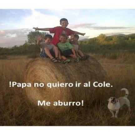 "¡Papá, no quiero ir al cole. Me aburro!", un libro que anima al cambio educativo