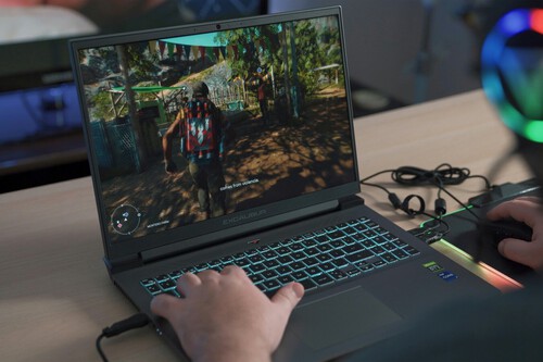 Windows 11 Fallo Actualizacion