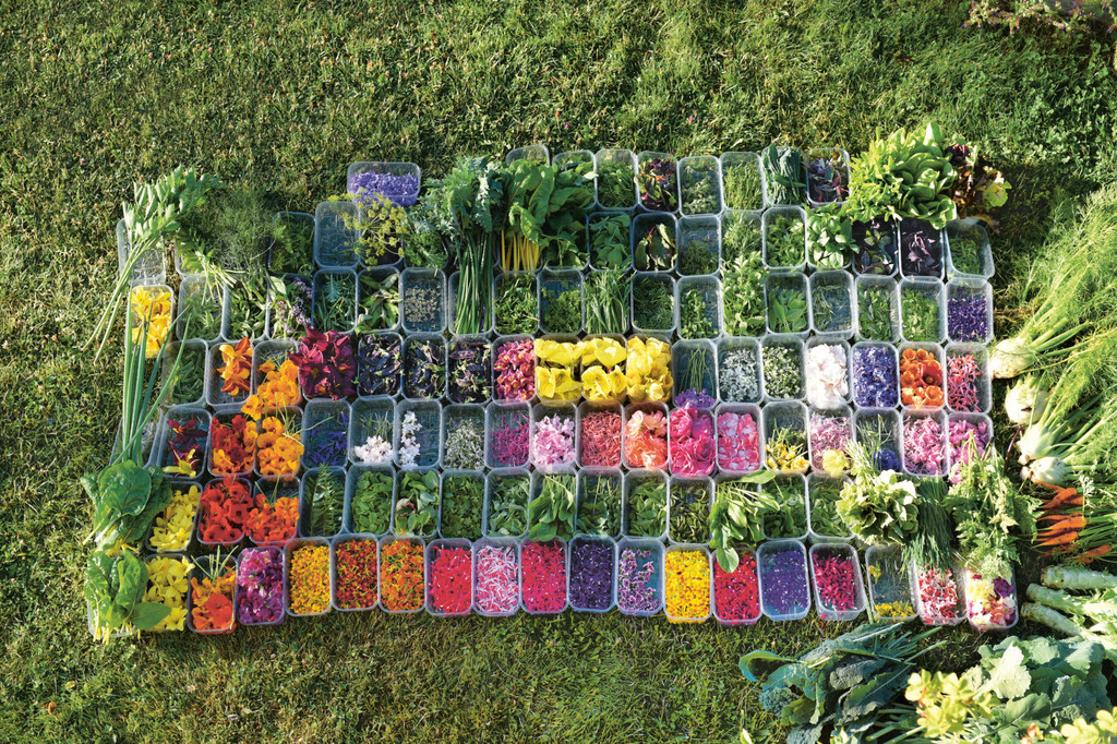 La vuelta al mundo por once huertos: así se las arreglan los chefs más punteros para controlar lo que sirven en sus restaurantes