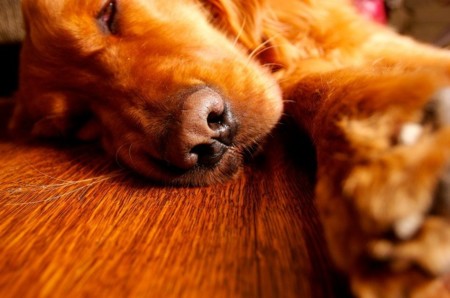 Tres alarmas diferentes para despertarte por las mañanas