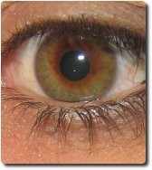 De tus ojos, ¿cuál es el líder?