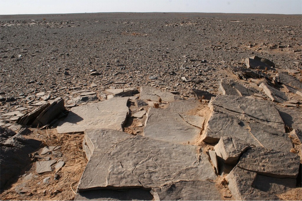 Ocho años después de abrirla, una tumba de 55 metros con "antenas" en pleno desierto del Sáhara revela por fin su edad