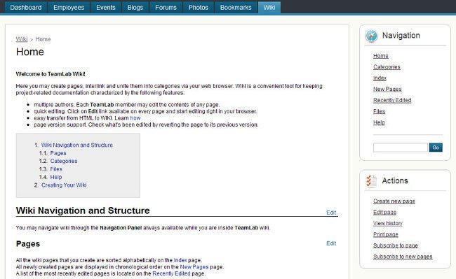 Wiki TeamLab