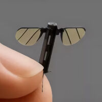 A China levou os mosquitos para outro nível: agora eles também roubam o PIN do seu cartão 