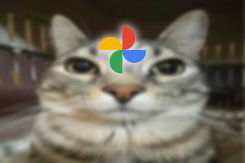 Tu galería ahora es una interminable fuente de memes: Google Fotos convierte tus fotos en memes con IA