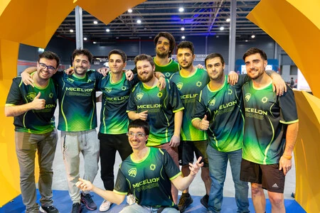 Team Micellion