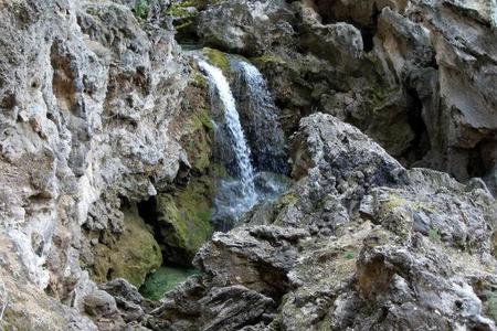 Cazorla2