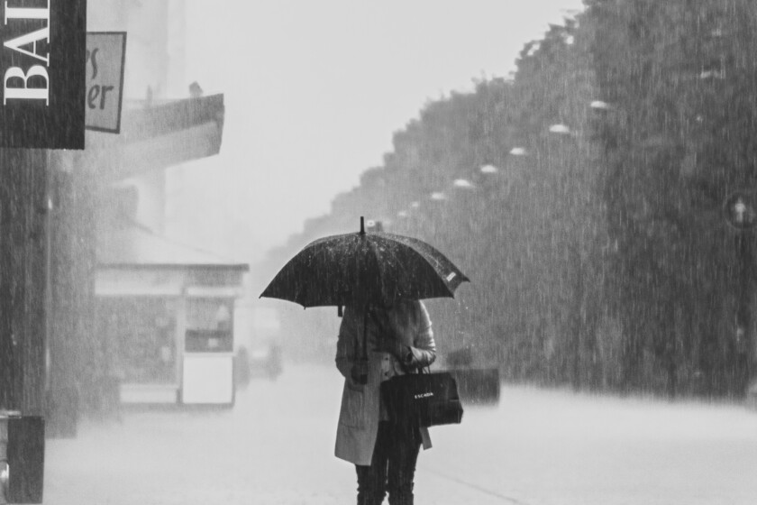 SACH LLUVIA