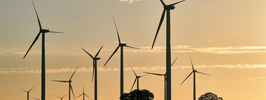 "Están dos pasos por detrás de la realidad". En 2030 las renovables podrían cubrir la mitad de la demanda energética mundial, pero hay mucho trabajo por hacer