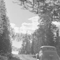 A Finlândia temia que a URSS atacasse suas estradas durante a Segunda Guerra Mundial, então inventou as árvores voadoras 