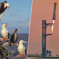 EEUU y SpaceX querían revolucionar la entrega de armas en cualquier parte del mundo. Un pájaro tropical tenía otros planes 