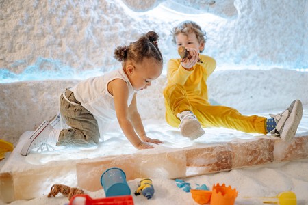 Pexels Photo 8435792