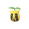 Sunkern