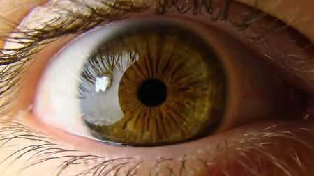 Formas para proteger los móviles de la empresa-logo