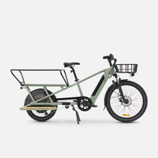 Bicicleta de carga cargobike eléctrica longtail carga trasera R500E Verde Claro
