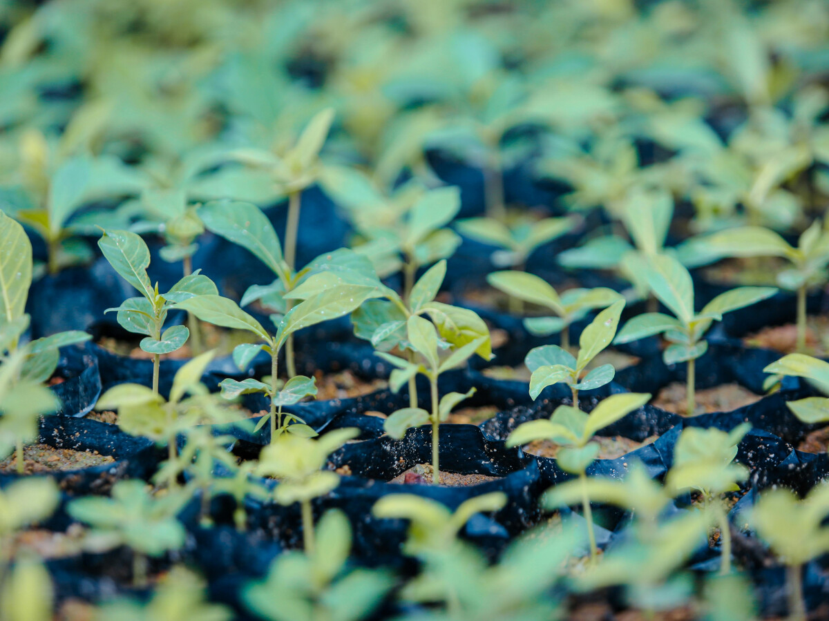 Emily Cocea's uninhibited performance