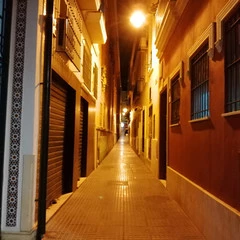 Foto 152 de 154 de la galería fotos-tomadas-con-el-honor-10-lite en Xataka Android