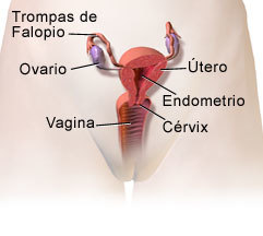 Cérvix incompetente