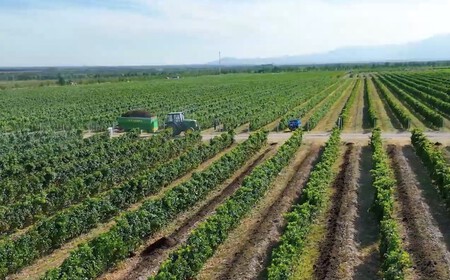 Ningxia