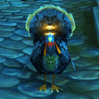 ¿Alguien puede explicarme por qué soy un pavo con ojos brillantes?
