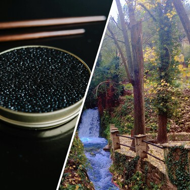 La historia real del pueblo de Teruel que hoy compite con los grandes productores de caviar europeos