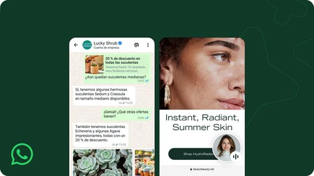 Whatsapp Nueva Ia Empresas