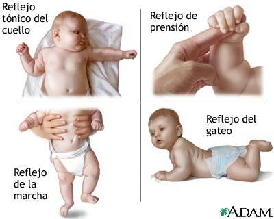 Ser papá: conoce a tu bebé (I)