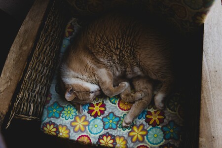 Siete consejos para dormir bien cada noche