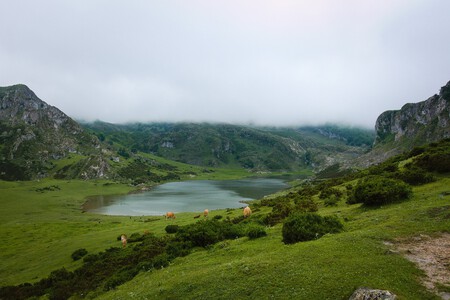 Lagos Covadonga
