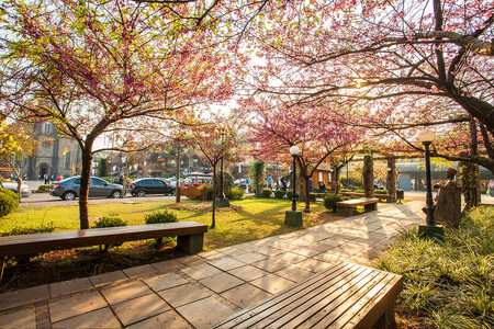 Foto: Divulgação/Gramado Inesquecível
