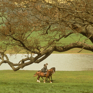 Fotograma de la película
