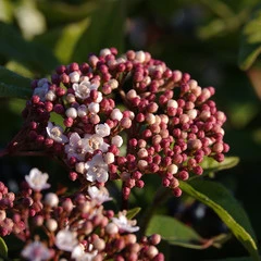 Foto 18 de 61 de la galería muestras-sony-rx10-iv en Xataka Foto