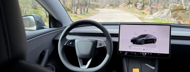 Los robotaxis de Tesla son autónomos, ecepto cuando los conduce un señor desde Texas