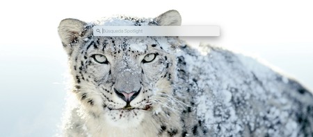 Dos trucos para Spotlight en el Mac: buscar en Safari y localizar rutas de archivo