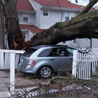 Qué cubre y qué no cubre el seguro del coche en caso de daño por viento y lluvia como los de la borrasca Danielle